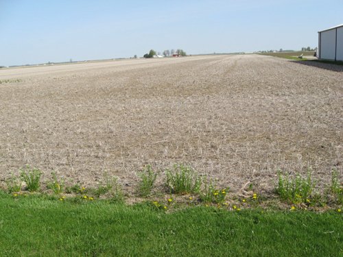 Property photo 5 - 172 Acres Offered in 3 Tracts - Prime Farmland